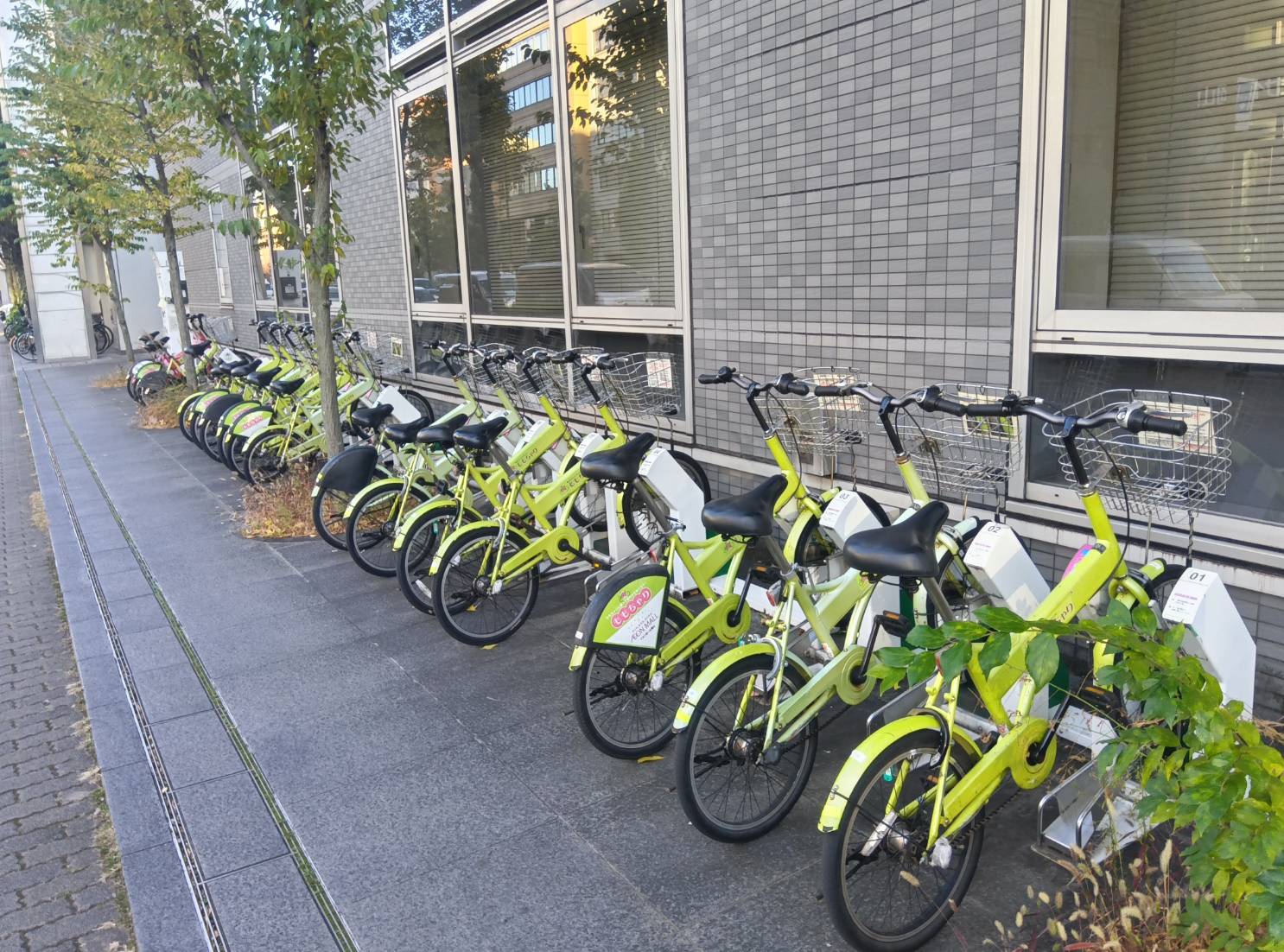 �I�J���}�N���N�V��HAPPYSPOT�_�C�N�R�E�T�e���W�e���V��������W�e���V����